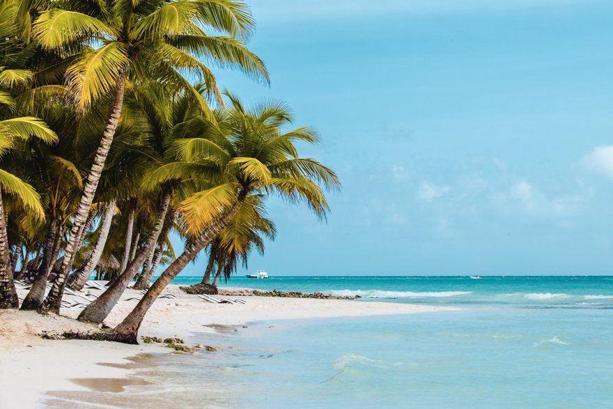 Saona Island Day Trip From Punta Cana With Lunch And Open Bar Included ...